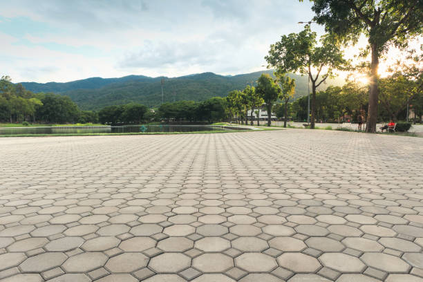 Best Driveway Paving Contractor  in Perezville, TX