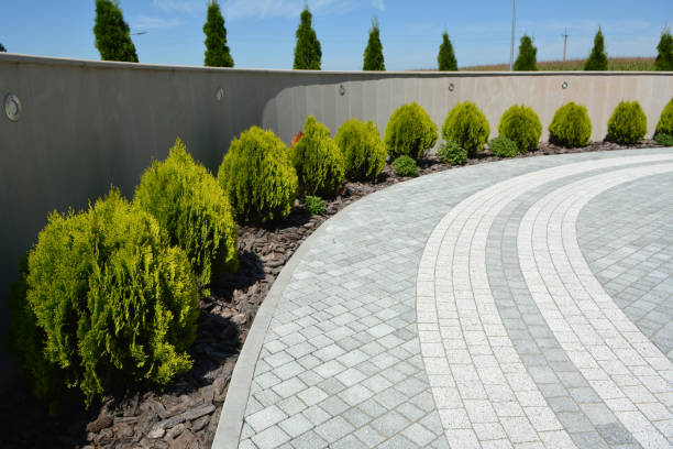 Professional Driveway Pavers in Perezville, TX